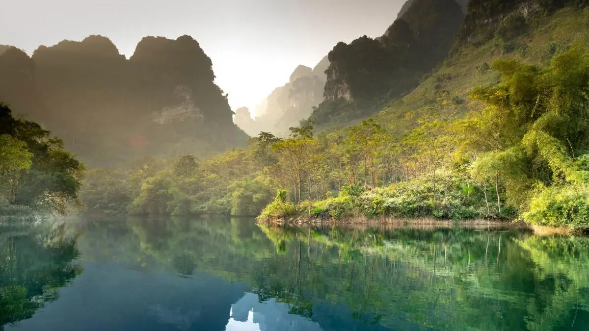 智能系统智慧